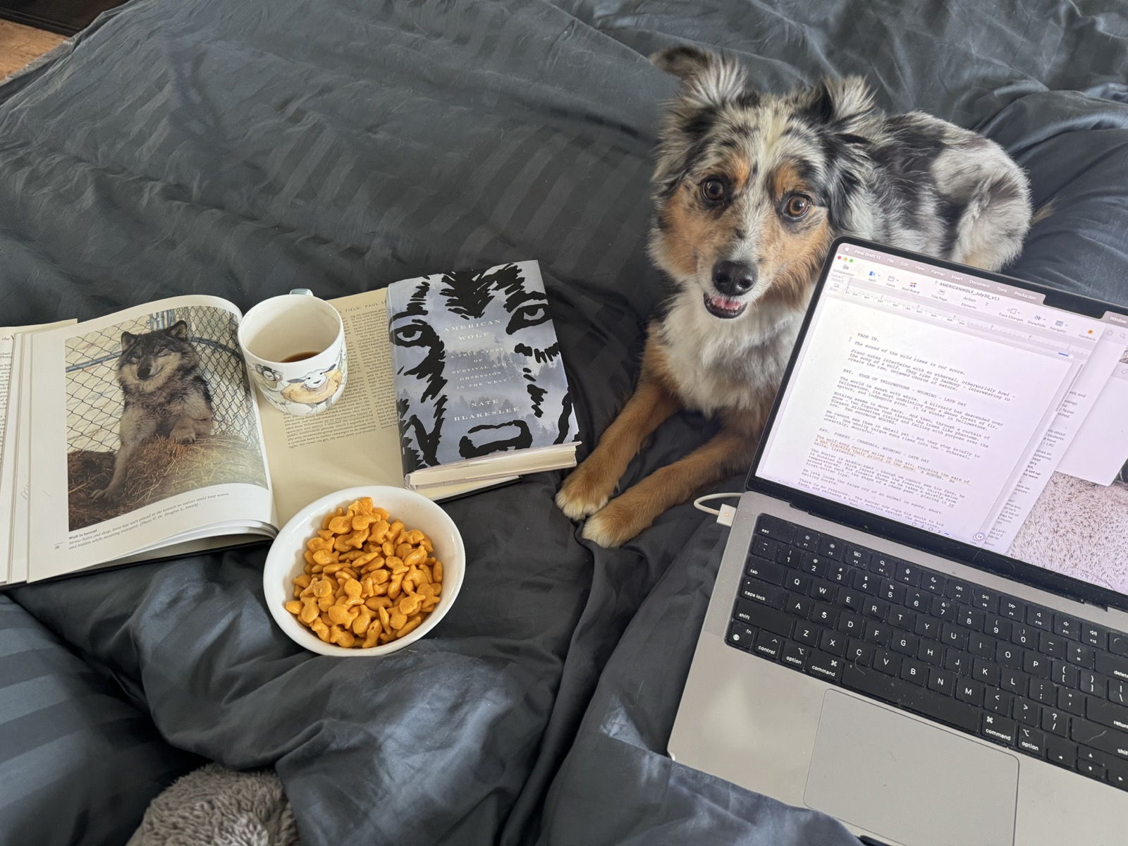 Whiskey beside Ashley Avis's American Wolf research and screenplay
