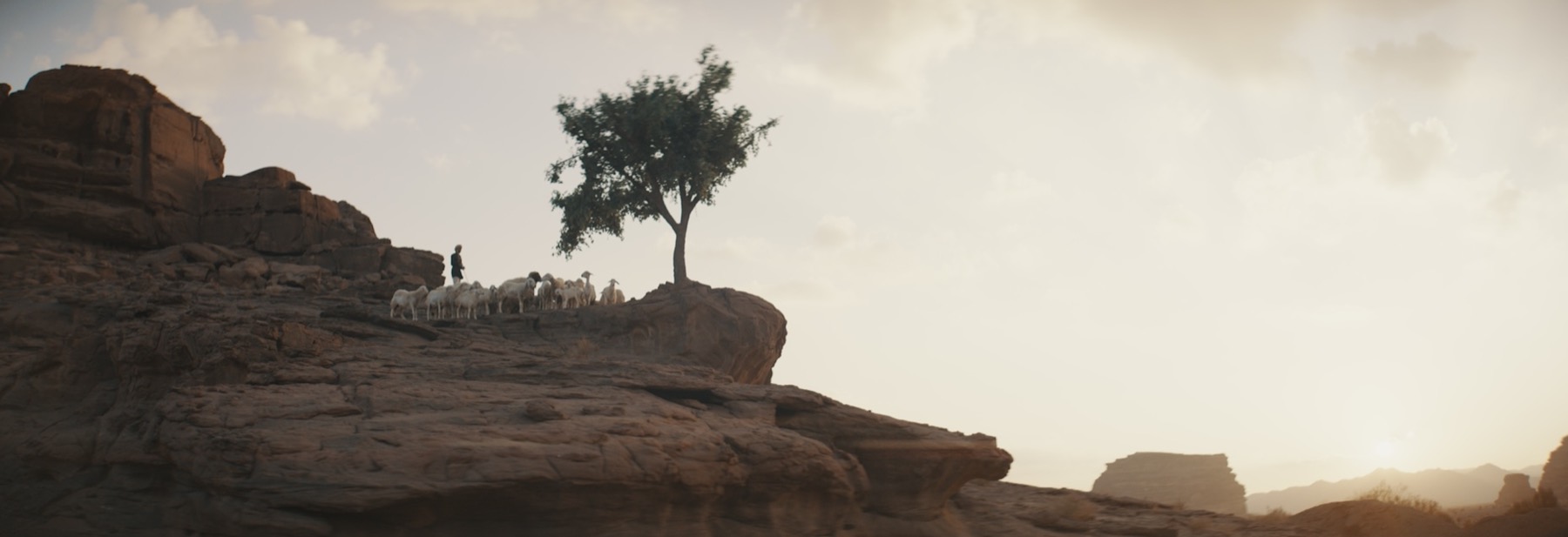 A young shepherd and flock crossing the desert in The Lamb