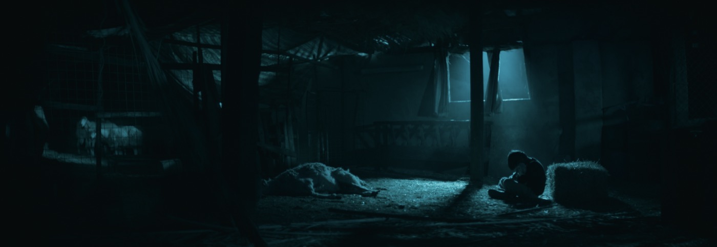 A boy and lamb in a moonlit barn in The Lamb